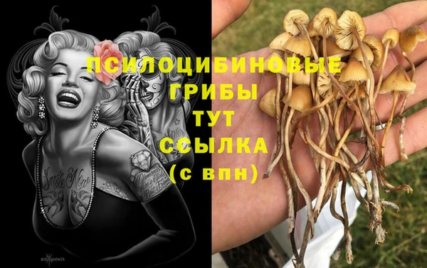 мяу мяу мука Алексеевка