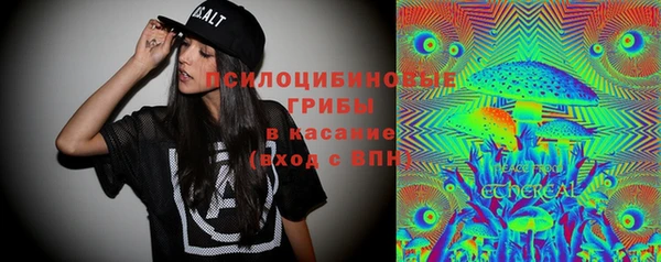 мяу мяу мука Алексеевка