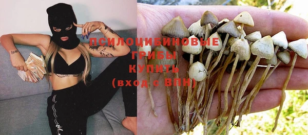 сатива Алексин