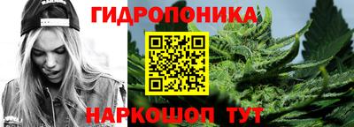 гидра Анжеро-Судженск