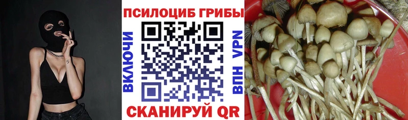 Псилоцибиновые грибы мицелий Лобня