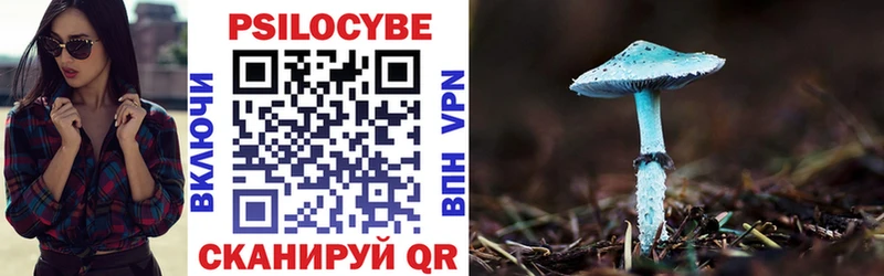Галлюциногенные грибы Psilocybe  дарк нет клад  Лобня  закладка 